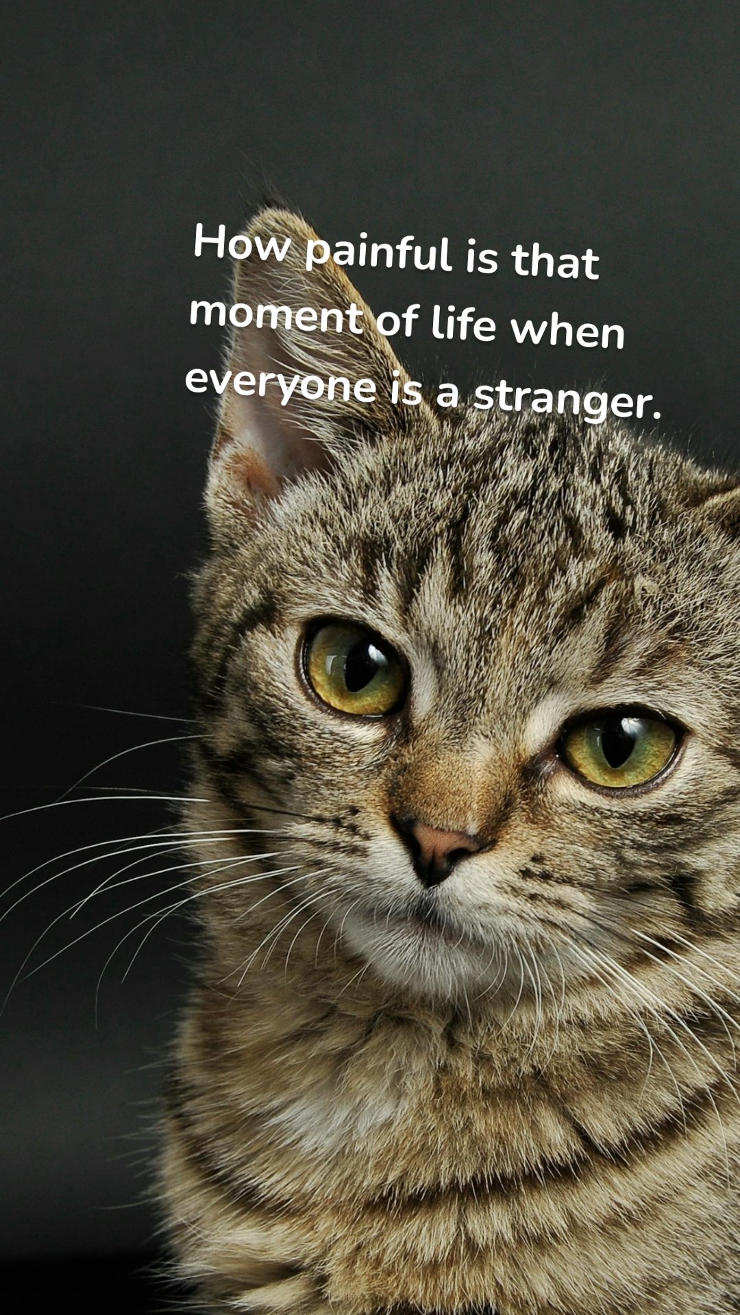 How painful is that moment of life when everyone is a stranger. 