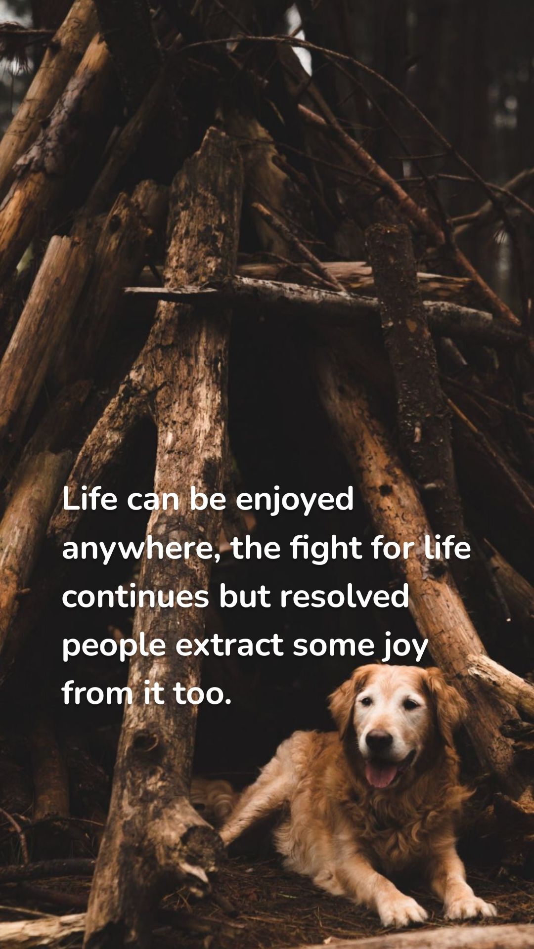 Life can be enjoyed anywhere, the fight for life continues but resolved people extract some joy from it too. 