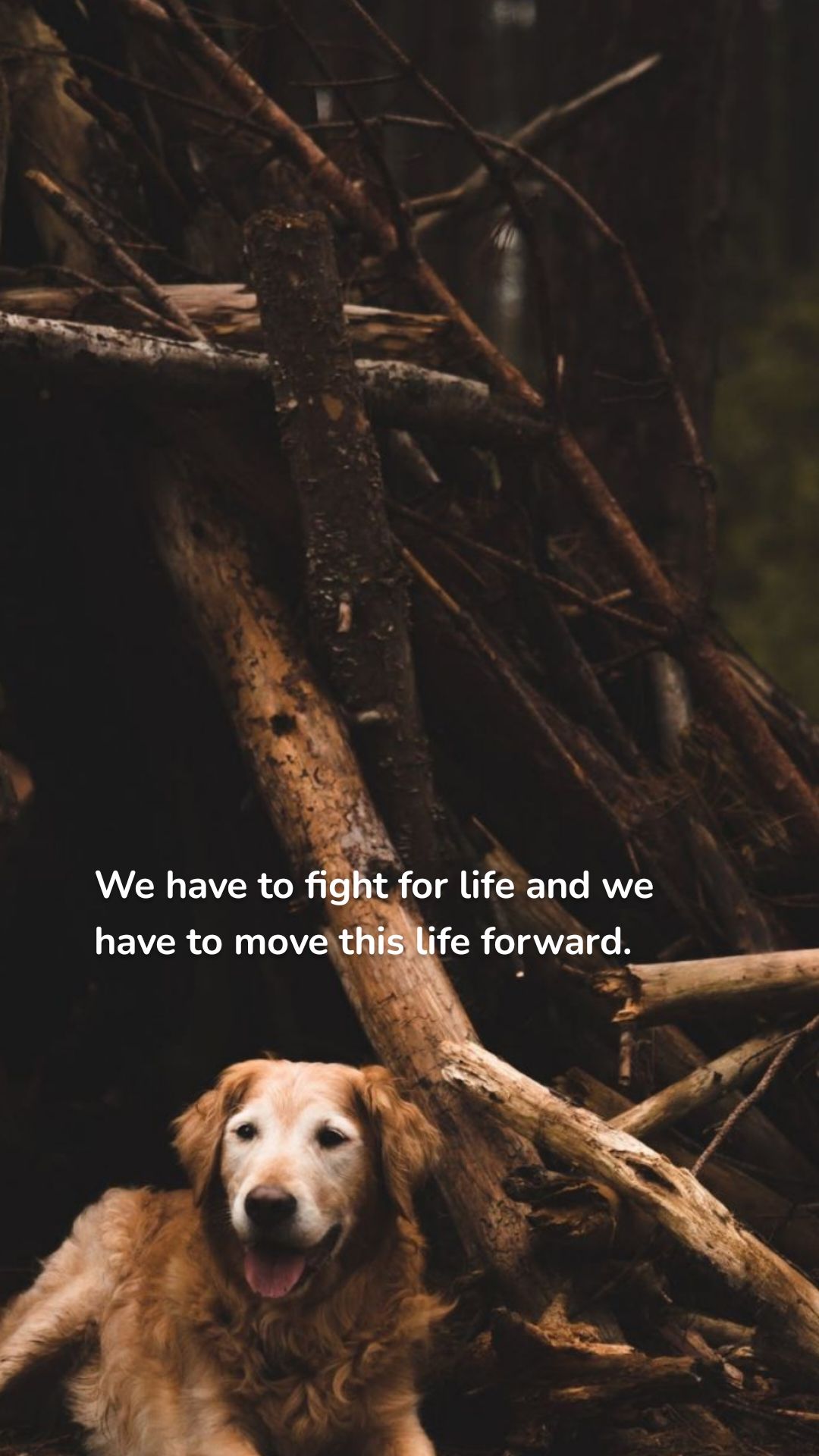 We have to fight for life and we have to move this life forward.